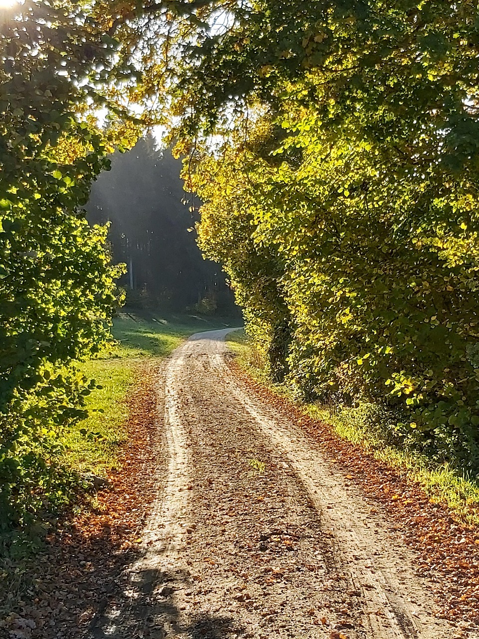 Spaziergang PPM - Pro Planegg & Martinsried